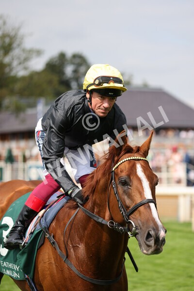yr20082021r2-62 - Race 2 2.25pm Weatherbys Hamilton Lonsdale Cup (British Champion Series race)