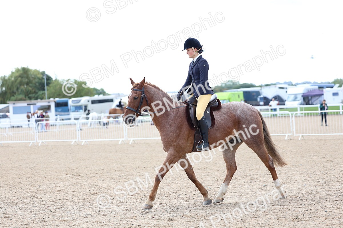 SBM_10111 - Class 304 - Ridden Part Bred Horse Pony
