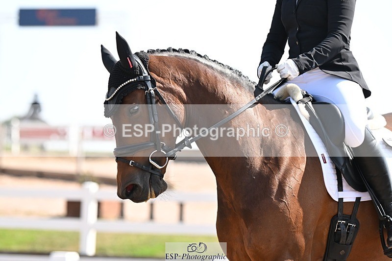 250816-110540-03513 - 069-Lucinda.PaullImperatrix