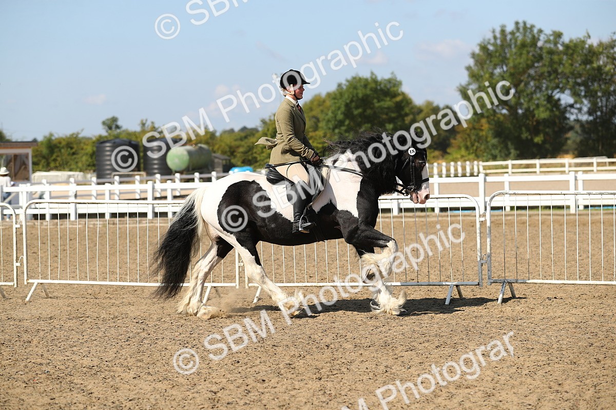 SBM_03136 - Class 44 Riding Club Horse/ Pony