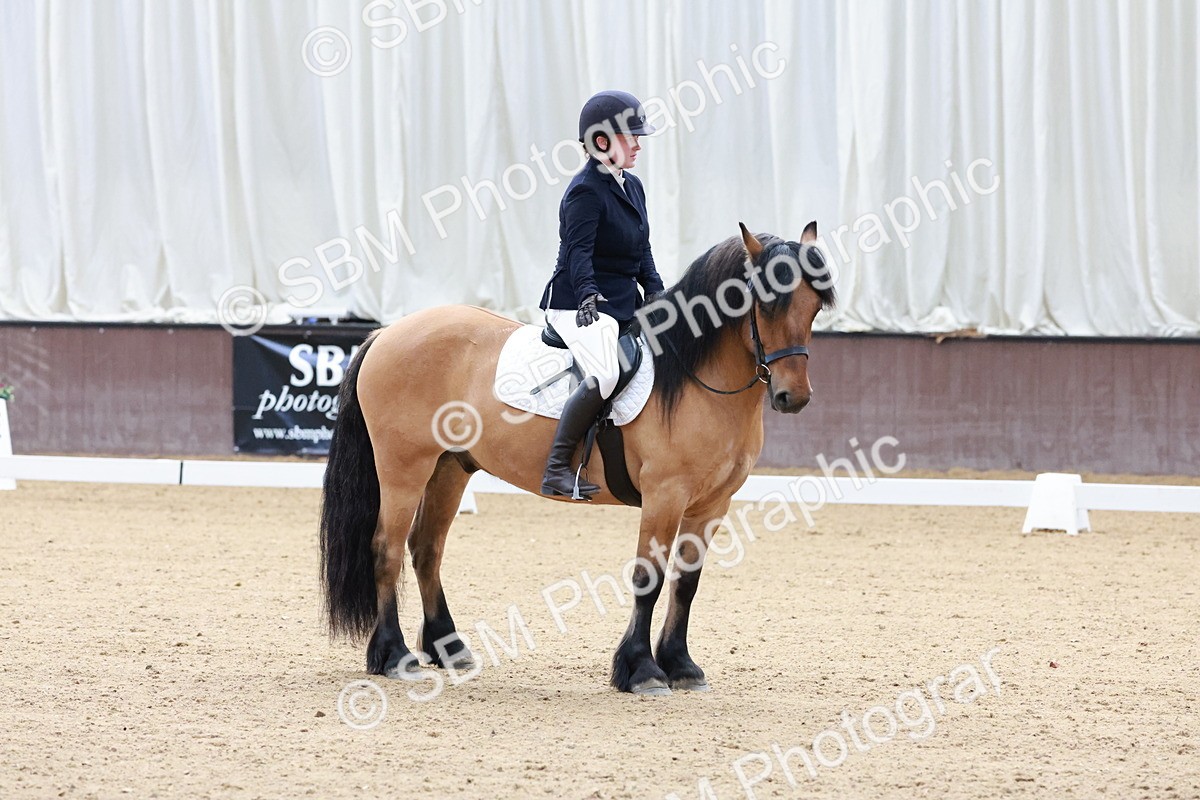 SBM_003210 - Intro 2