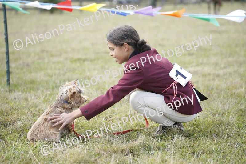 20250831-3614 - Dog Show