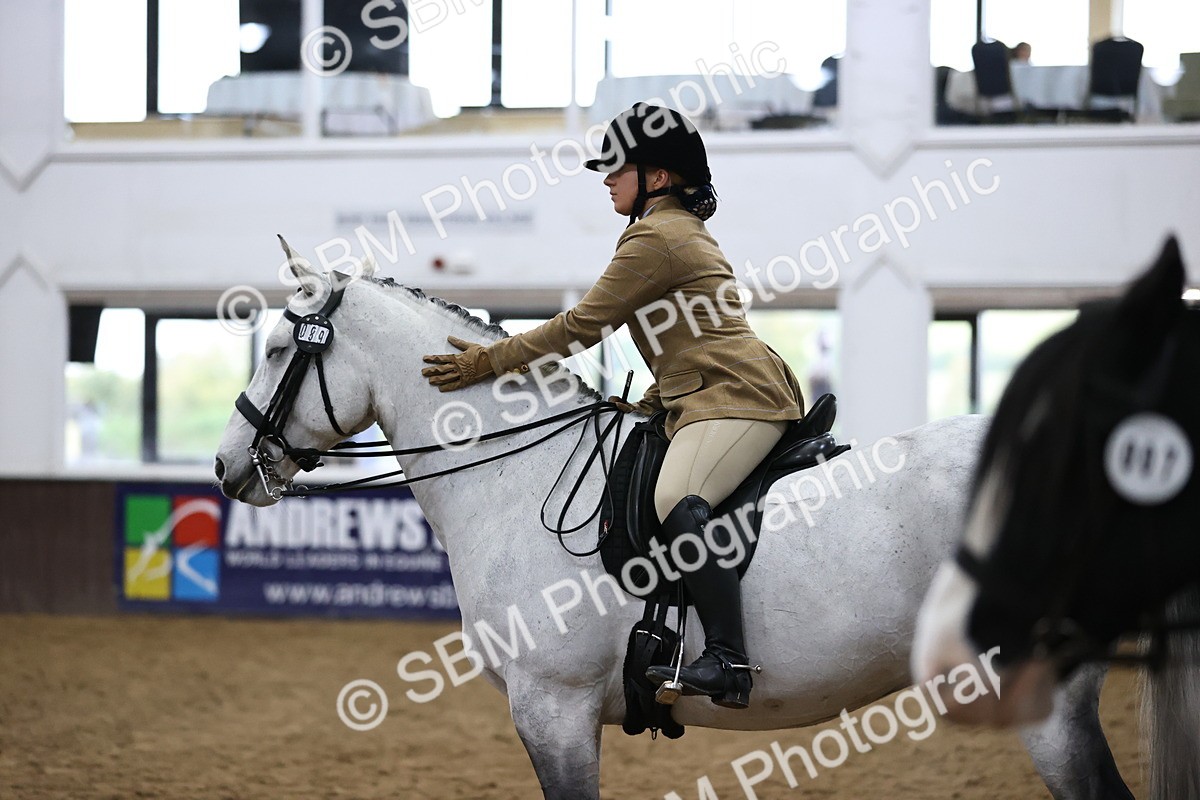 SBM_6366 - Class 45-42 - Ridden Irish Breeds-Ridden Cob