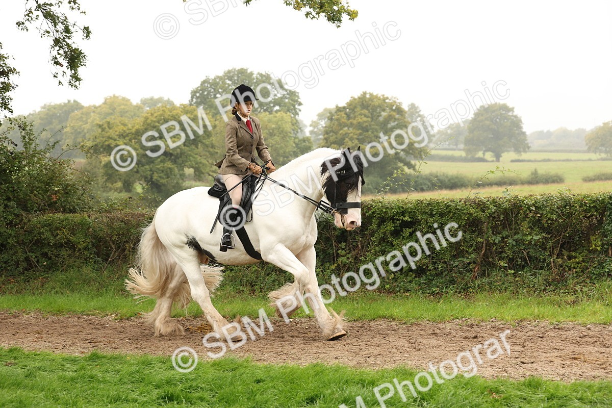 SBM_72710 - S70 - Traditional Cob Ridden