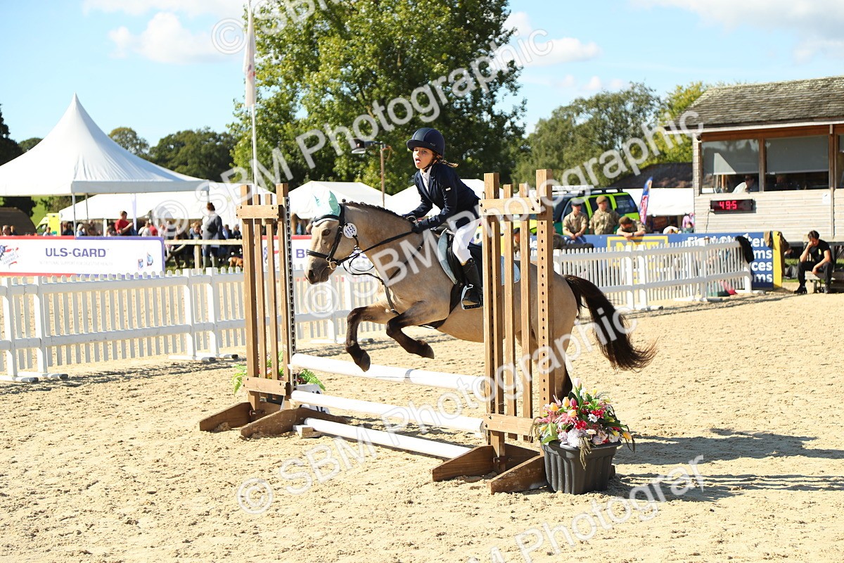 SBM_39299 - J6 - Junior Pony 55cm Championships