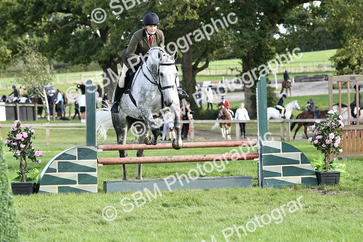 SBM_52174 - S35 - Working Hunter & Working Show Horse