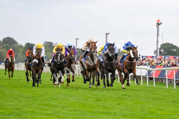 200825-Race 5-Santorini Star-1810 - Race 5 4.10pm Sky Bet Stayers Handicap