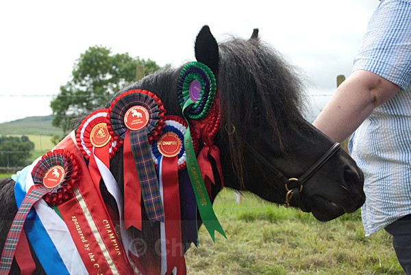 30 - Moniaive Horse Show 2010
