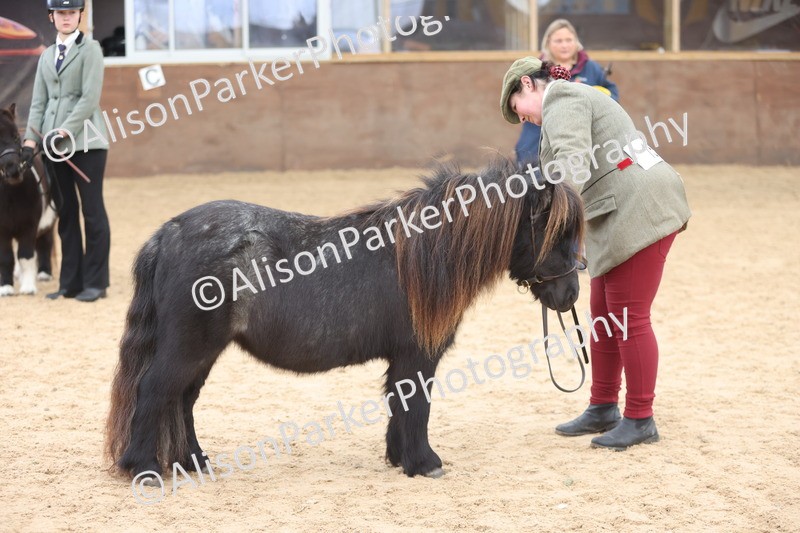 20251109-0244 - Class 11 - 2 and 3 Year Old