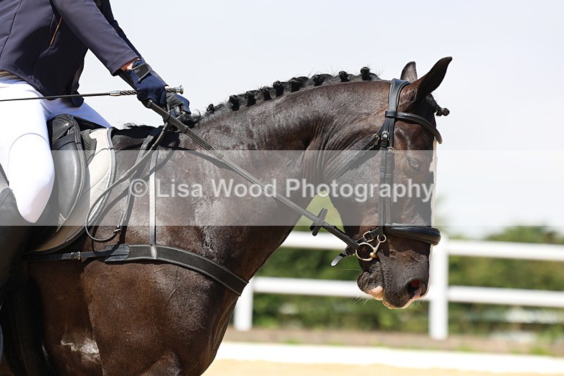 3E7A0610 - Class 3: Unaffiliated Prelim 3 2024 Section A