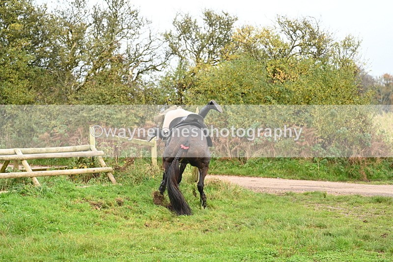 WJ7_0427 - Camera 1 & Last fence