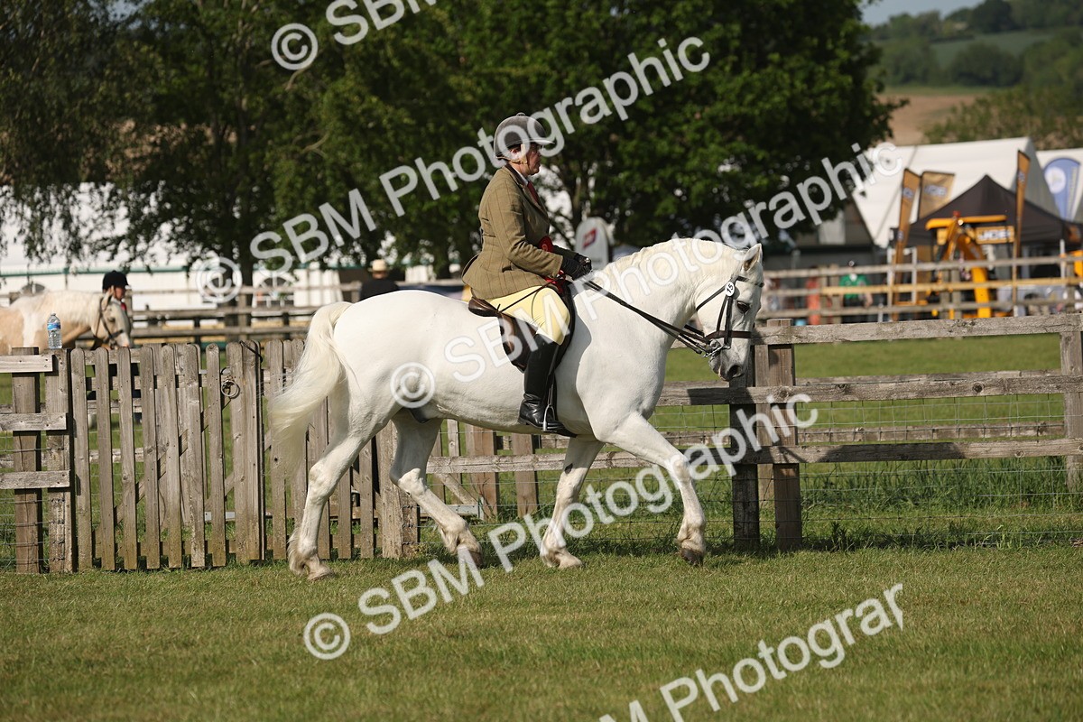 SBM_10243 - Class 33-38 - SSADL RIHS Qualifiers