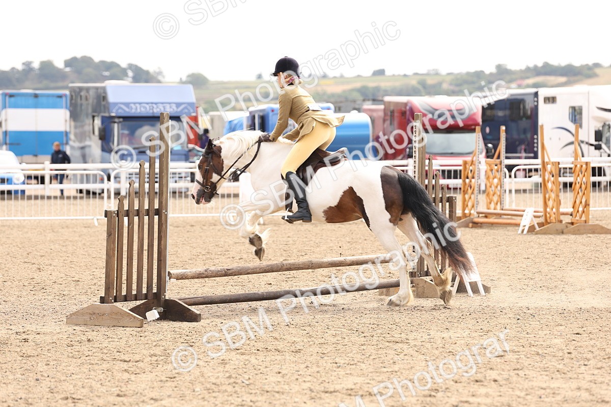 SBM_04280 - Class 54 - Riding Club Horse/Pony