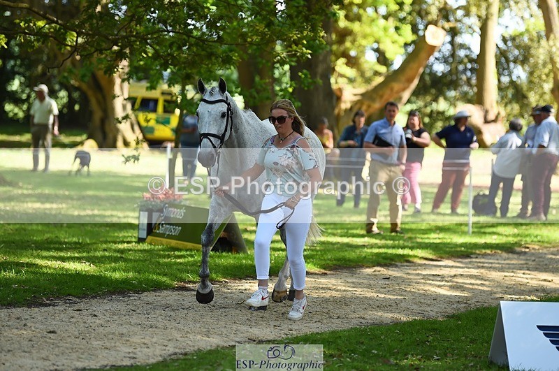 230524-155524-00549 - 203-DHI_CHILLI_START-Sophie_Hodgson-WEDTrotUp+DR