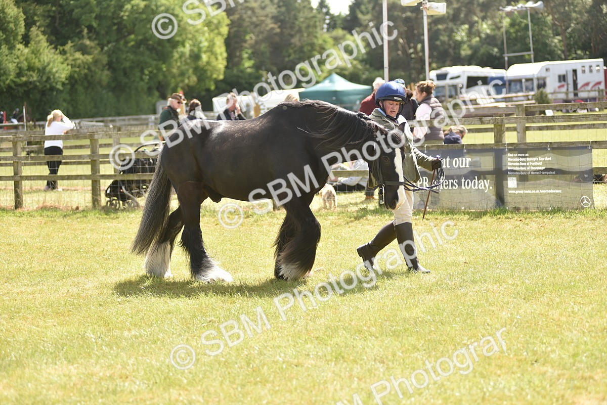 SBM_16087 - Class 117-122 - SSADL RIHS Qualifier