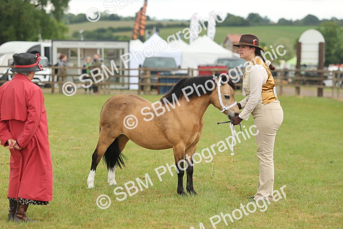 SBM_01610 - Class 50-57 - M&M Welsh Pony In Hand