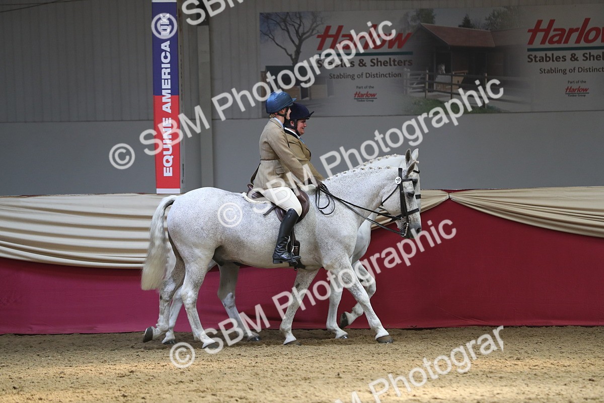 SBM_12935 - Class 109 Ridden Pairs- Section A