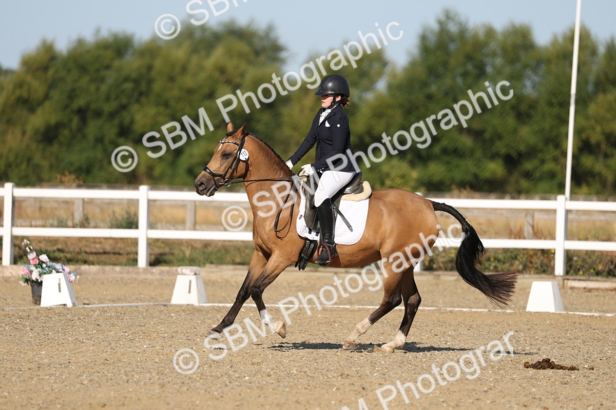 SBM_012623 - Class 1 - P5 Bronze 9.00.10.12