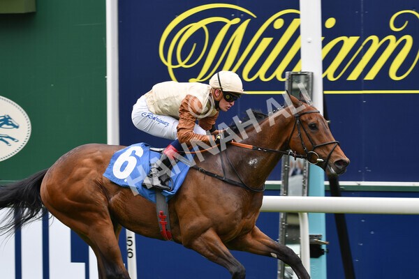 yr22052021r1-27 - Race 1 2.05pm William Hill Pick Your Places Stakes