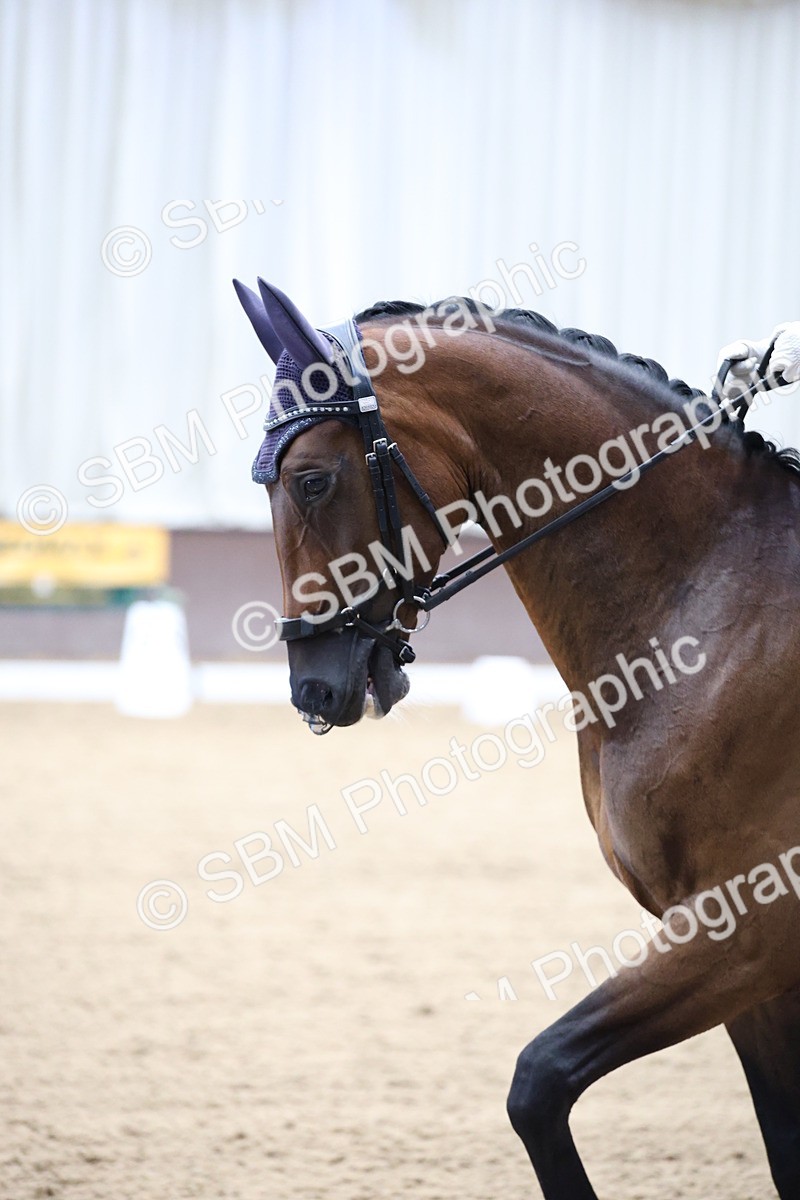 SBM_003148 - Class 5 - Novice 6 Gold - 11.41-12.51