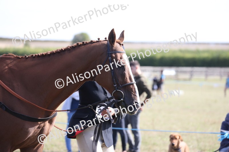 20260906-0661 - Class 22 - Ex Racehorse