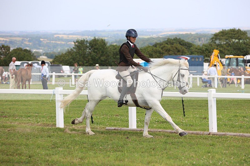 JPP_3857 - Class 23: Working Hunter 80cm