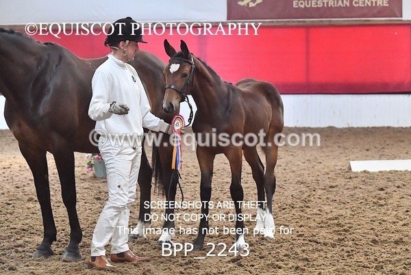 BPP_2243 - AFTERNOON 12.30 - 3.30PM