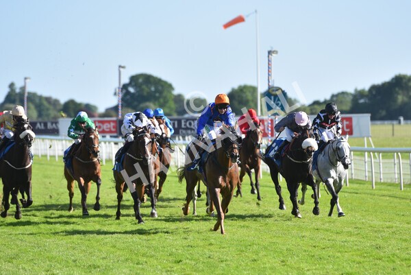 yr12062021r7-19 - Race 7 5.25pm Sky Bet Stakes