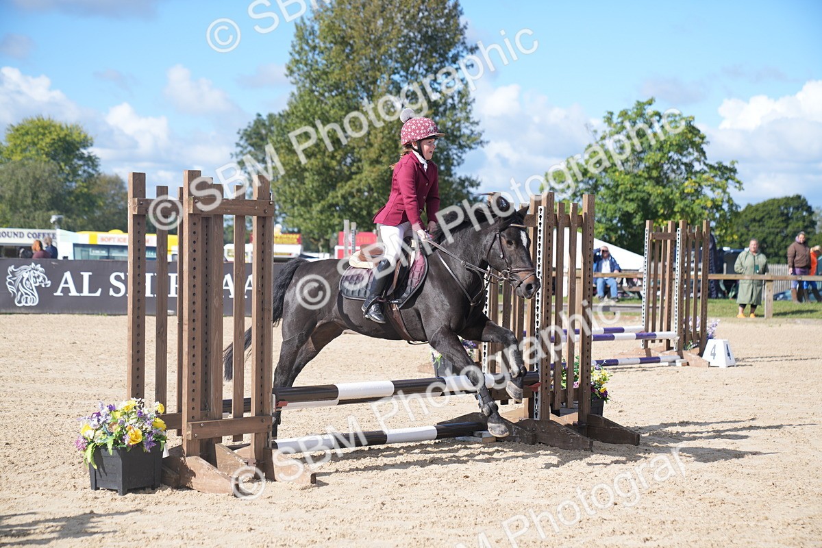 SBM_02445 - J54 Clear Round 45cm