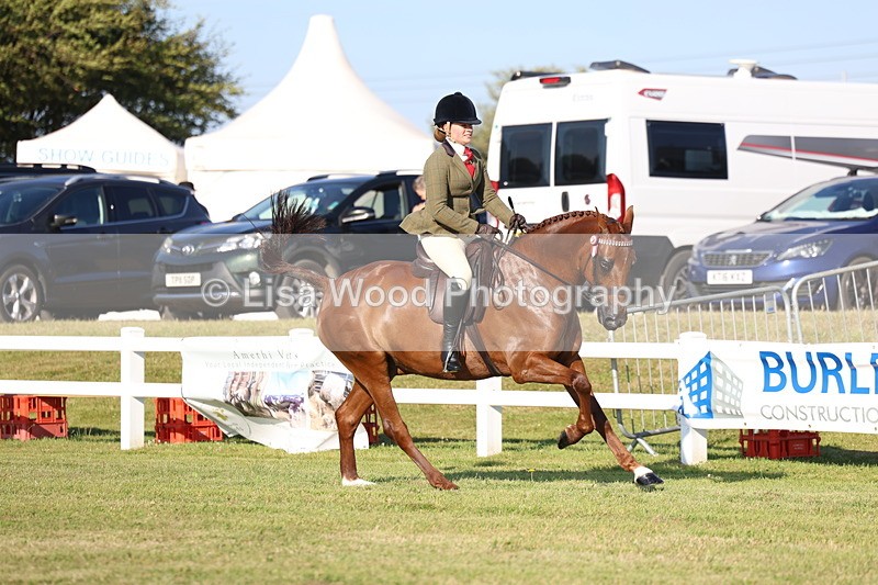 3E7A5078 - Class 1: Rising Star Small Hack/Riding Horses