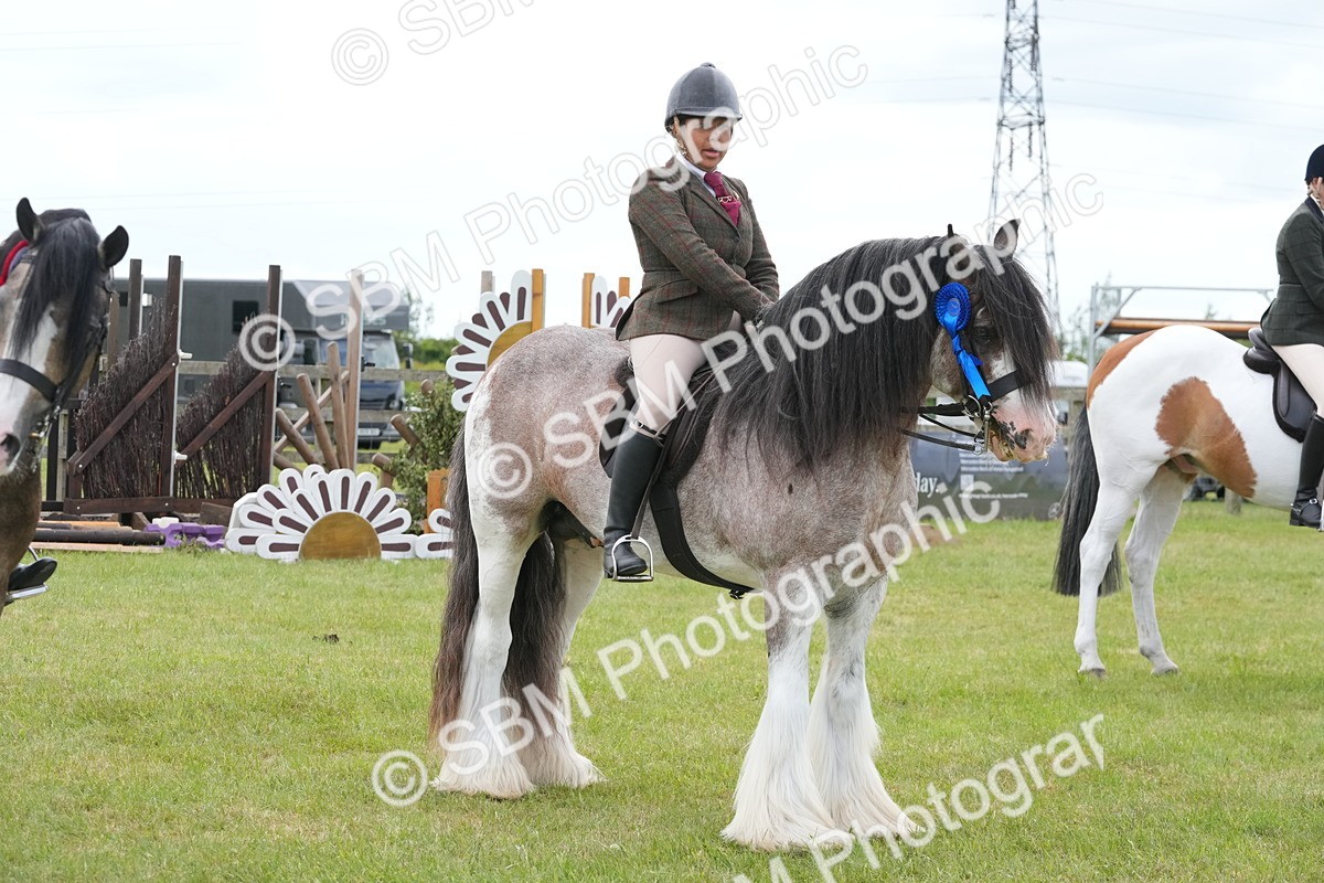 SBM_17676 - Class 107-108 - LIHS BSPS Performance Coloured Horse Pony