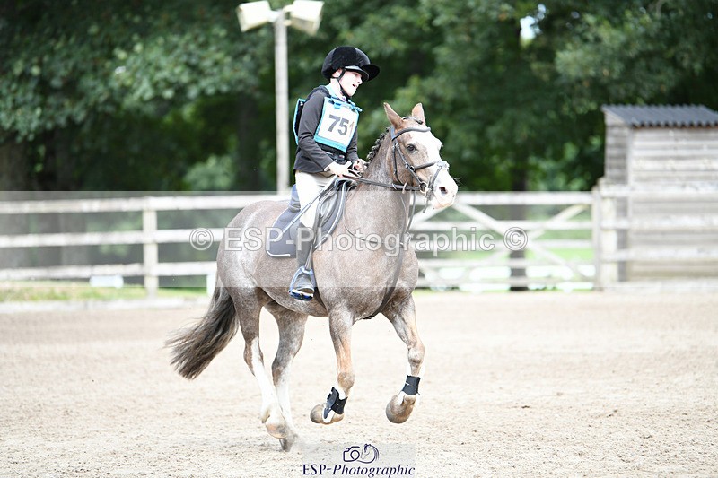 240825X-130427-34007 - 80cm SJ 12.45 to 14.00