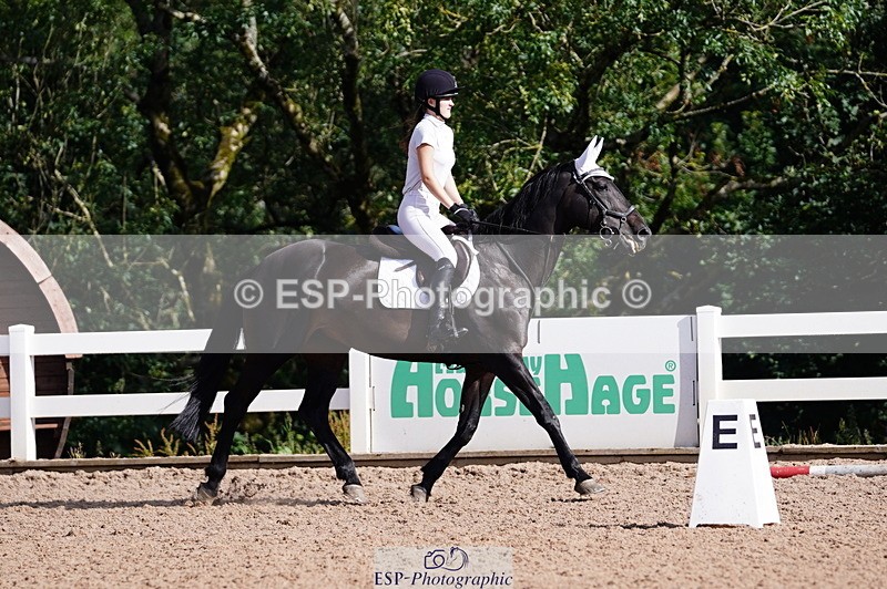 240809A-092324-00226 - Dressage Competition