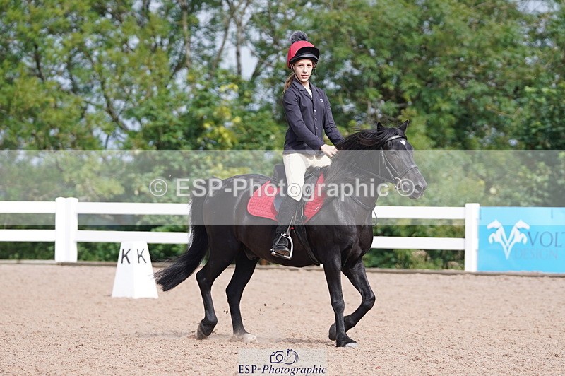 240809A-102638-00548 - Dressage Competition