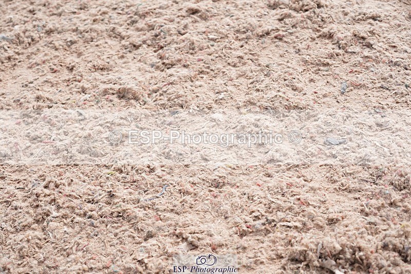 250511-092714-12931 - Cls 30 Snr British Novice and 90cm Open