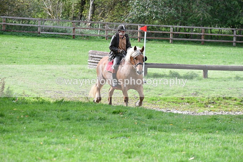 WJ5_9328 - Time 13:03 to 13:25