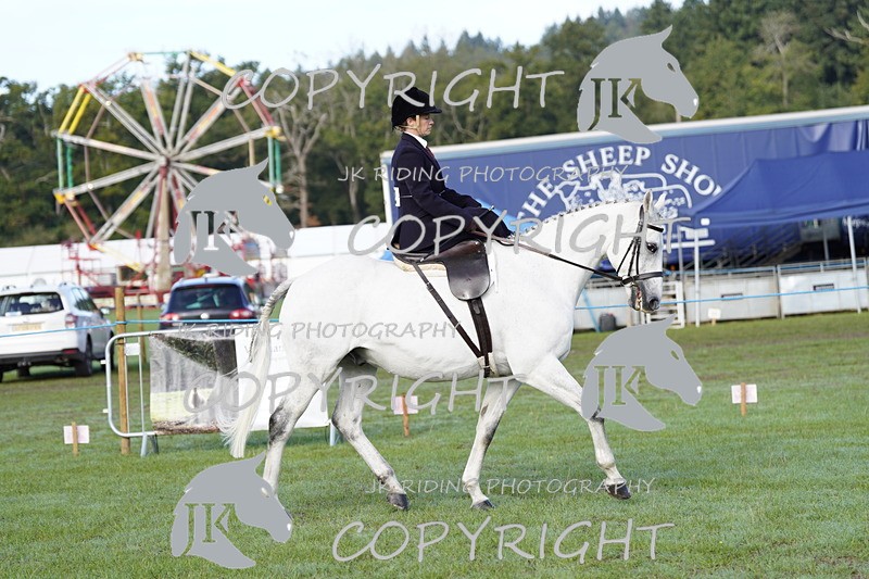 _DSC9327 - Class 8 & 17 Ridden Hunter & Ridden Hunter Pony