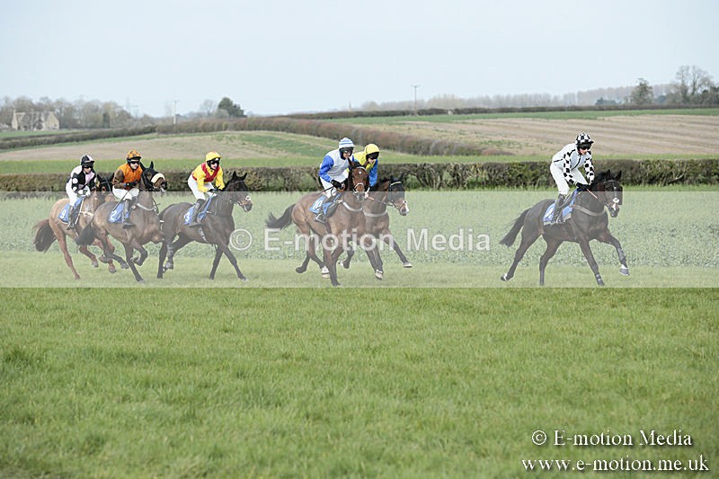 PtP 230319 248 - VWH Hunt Siddington Point-to-Point Racing 23/03/19