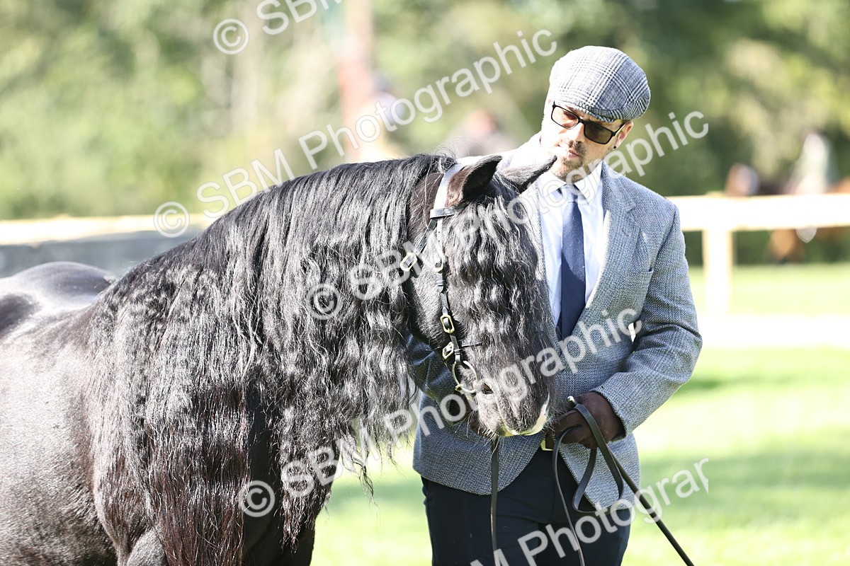 SBM_26232 - S5 - Novice & Newcomers In Hand