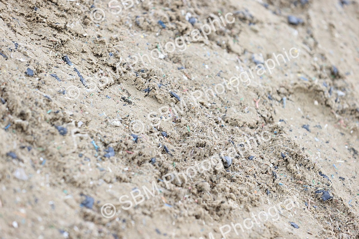 SBM_006883 - Class 29 - 30 - M&M Pure Novice Small-Large Breeds