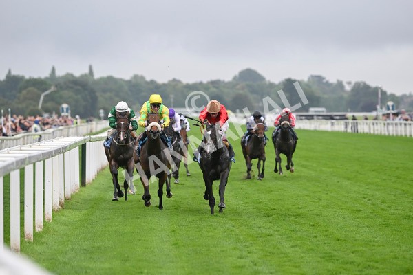 080924-Race 3-Brighton Boy-9032 - Race 3 2.50pm Irish Thoroughbred Marketing Nursery Handicap