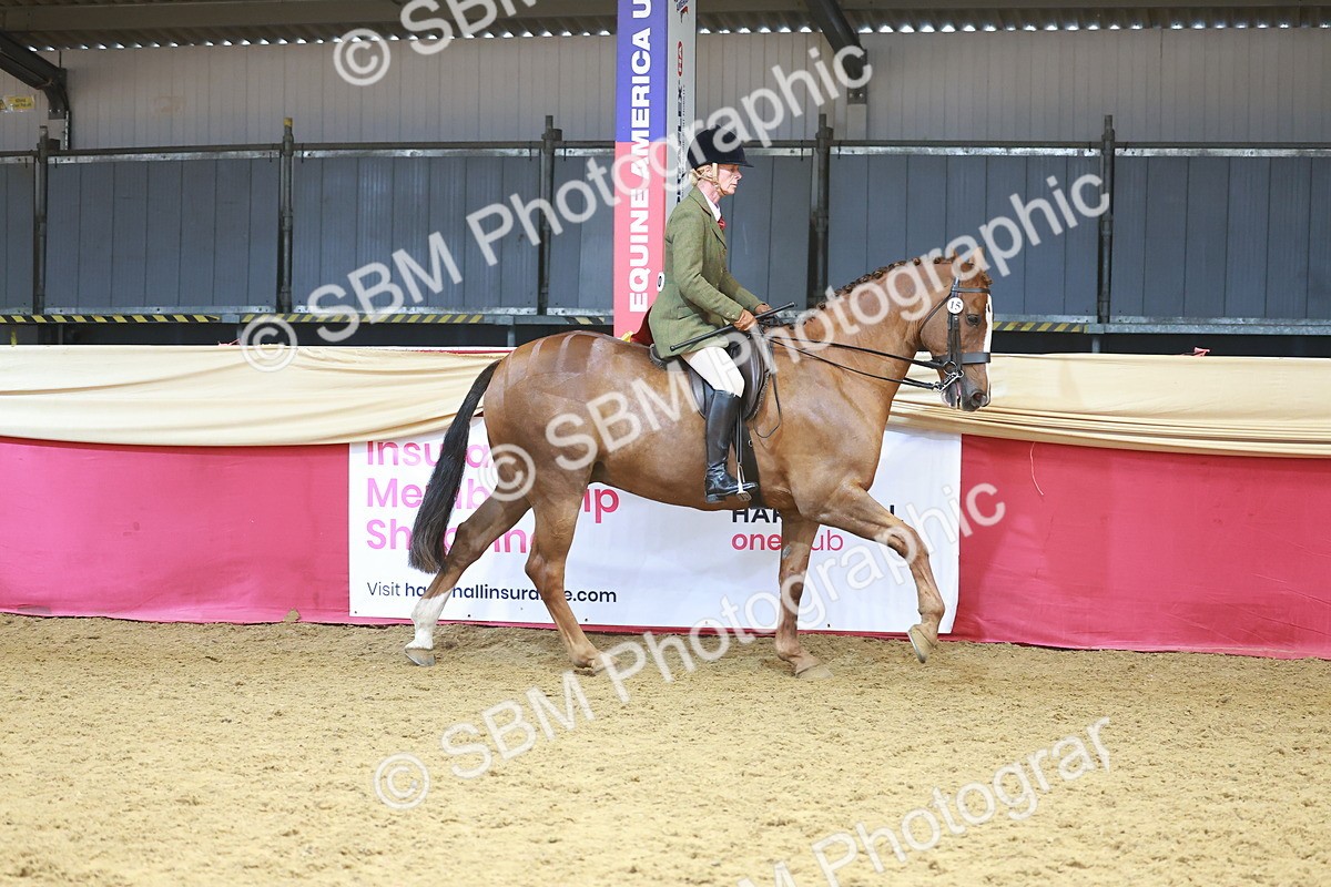 SBM_12459 - Class 103 - HOYS Veteran Qualifier - Ridden Pre Vet