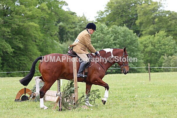 IMG_2809 - Working Hunter