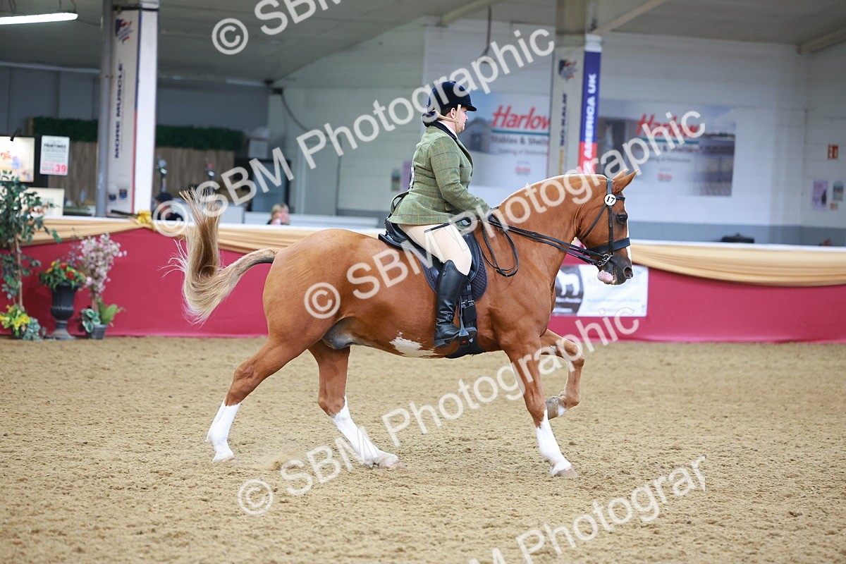 SBM_10670 - Class 103 - HOYS Veteran Qualifier - Ridden Pre Vet
