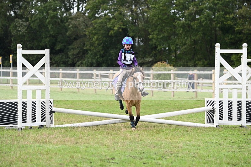 WJ6_0087 - 40cm Time 10:00 to 10:28