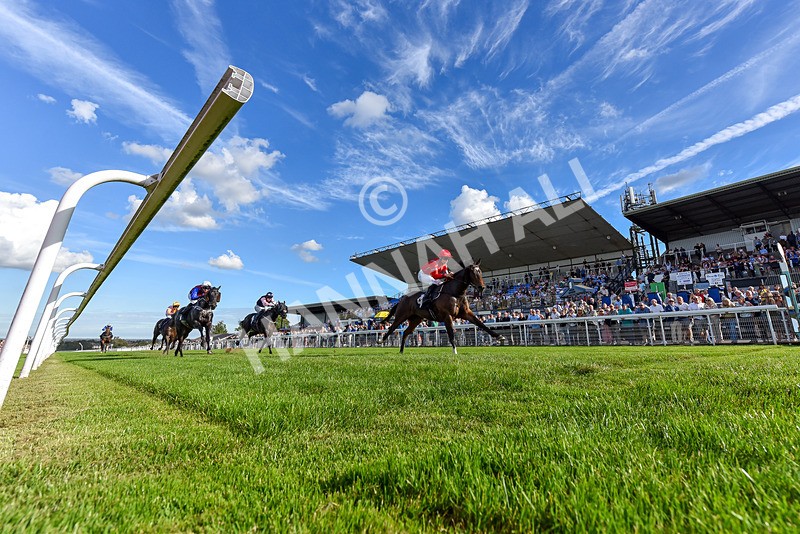 220926-Race 5-Go Victor-7548 - Race 5 3.50pm John Allinson 90th Birthday Handicap