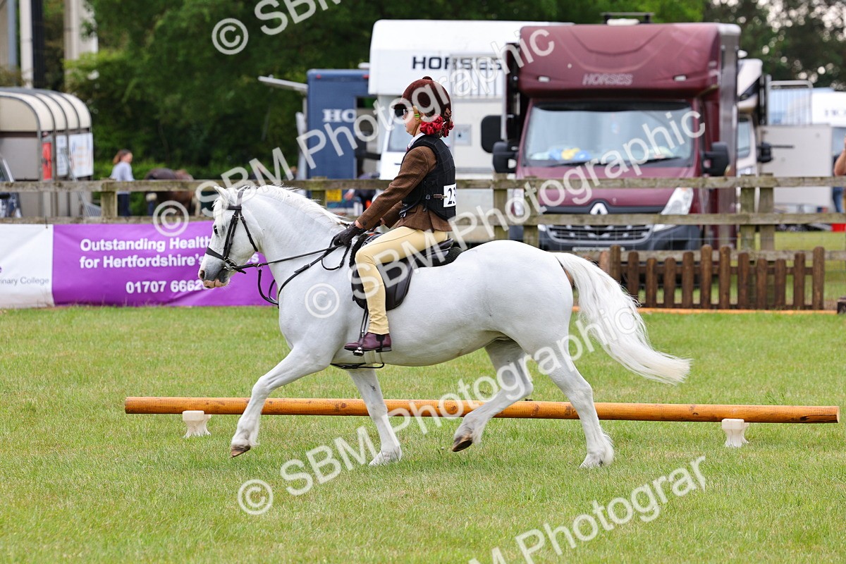 SBM_08721 - Class 42-43 - LIHS BSPS Heritage Working Sports Pony