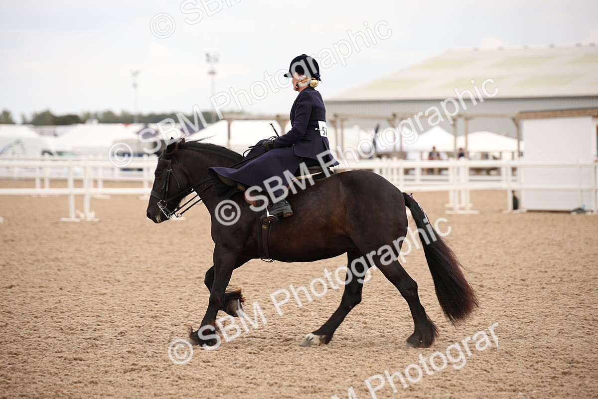 SBM_05391 - Class 22 SSA Equitation