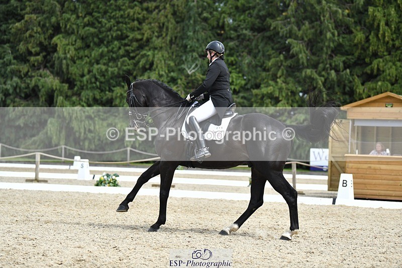 230812-140217-04581 - Cls 7 FEI PSG Bronze