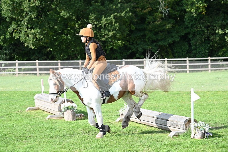 WJ7_3944 - 40cm Time 10:26 to 10:42